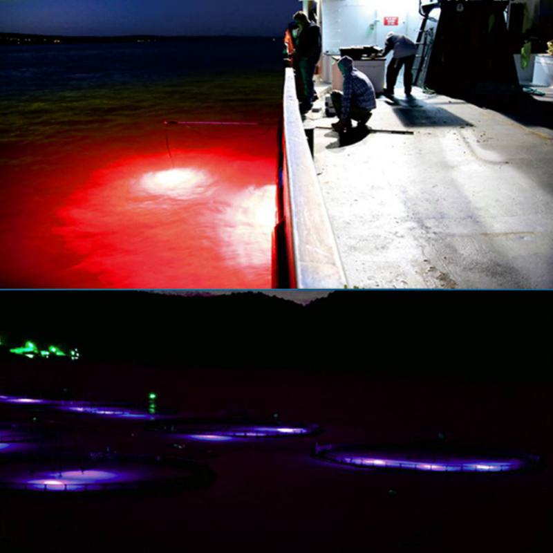 مصباح جذب الصيد الصغير متوهجة  - مراجعة Fishing Boat Navigation Light وسعره
